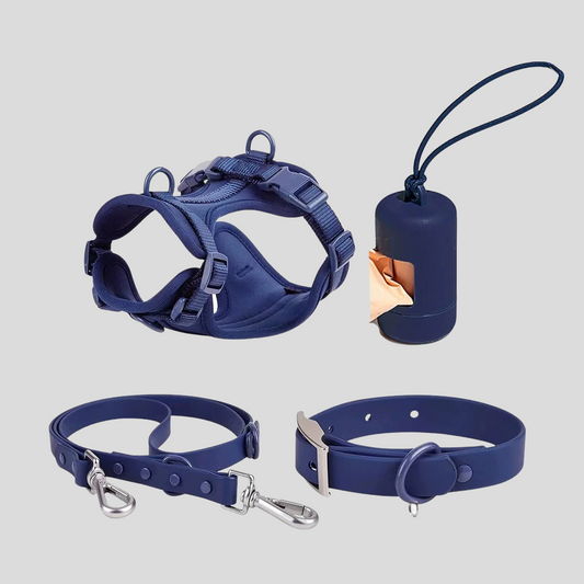 Complete Dog Walking Kit