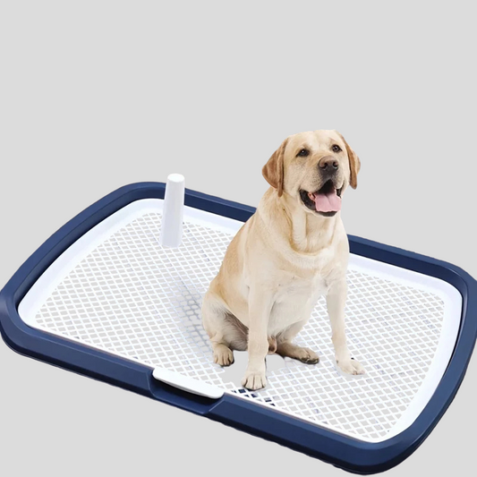 Dog Potty Training Toilet / Plastic Pee Pad Holder