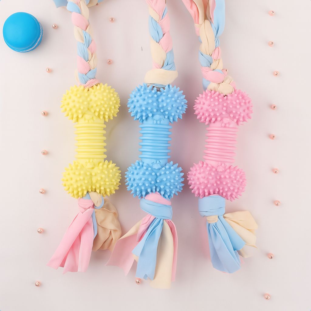 Tough Buddy – Chew & Train Toy