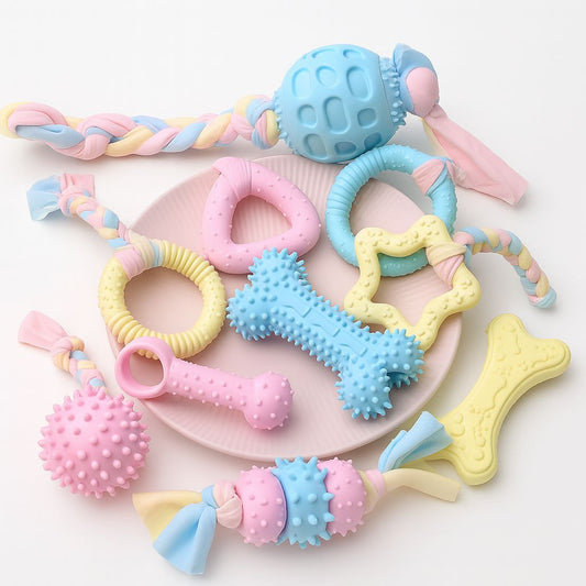 Tough Buddy – Chew & Train Toy