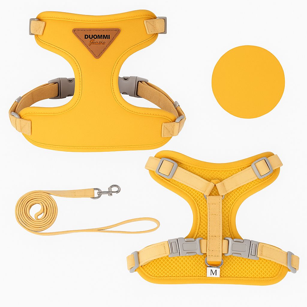 Cat Walking Harness Set