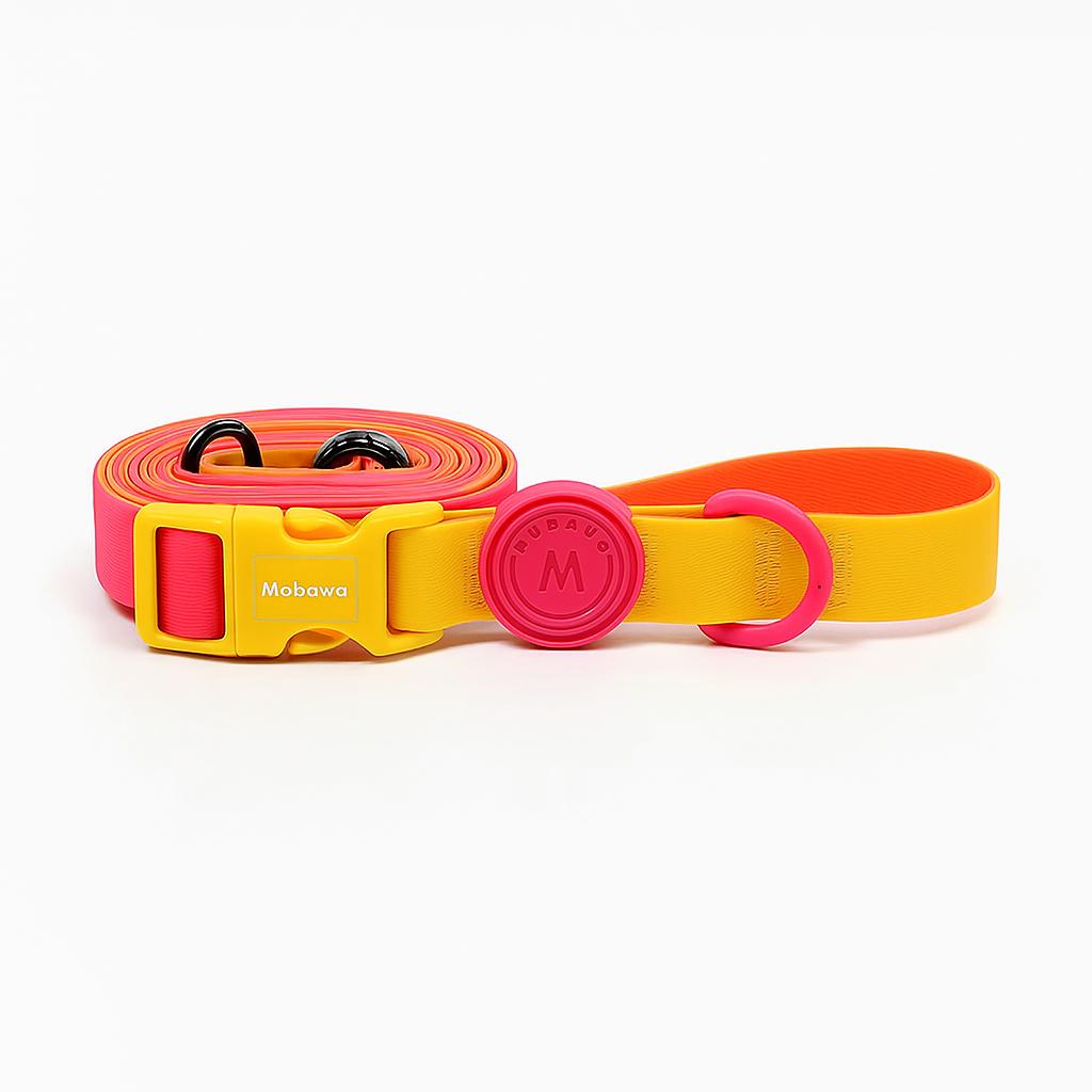 Tutti Frutti Leash