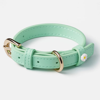 Candy Collar –