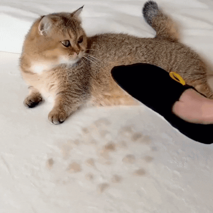 Pet Hair Removal for Dogs & Cats